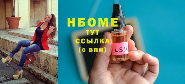 гашик Алексеевка