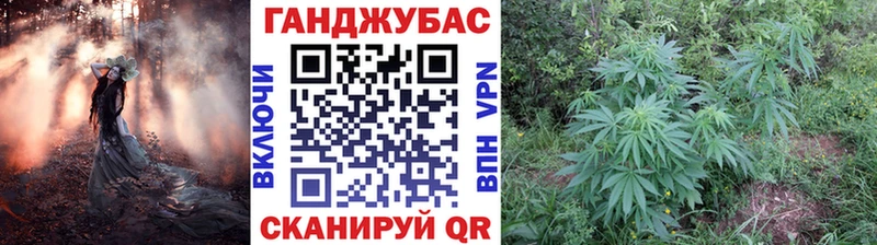 OMG как войти  где можно купить   Дербент  Бошки Шишки сатива 